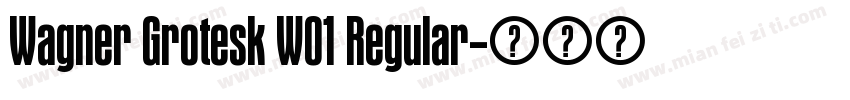 Wagner Grotesk W01 Regular字体转换